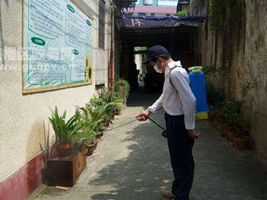 沙田消殺四害公司教你消滅蟑螂蚊子的小偏方