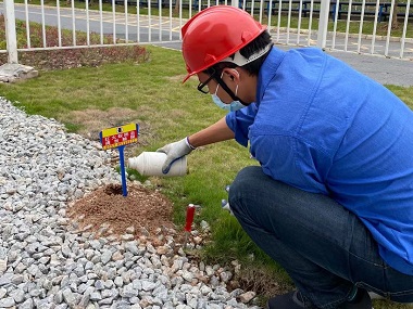 東莞紅火蟻滅治站——什么是紅火蟻？紅火蟻的危害