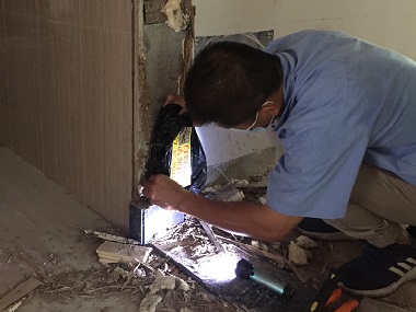 寮步驗(yàn)收白蟻公司家庭滅白蟻的實(shí)用方法